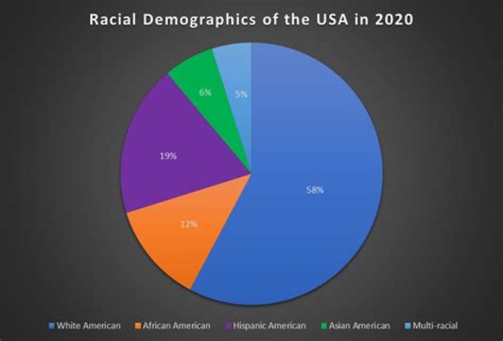 What is the racial demographic of the US