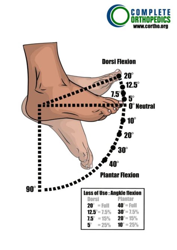 What is the range of motion of the ankle