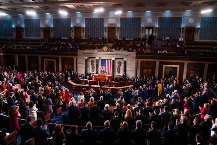 What is the role of Congress