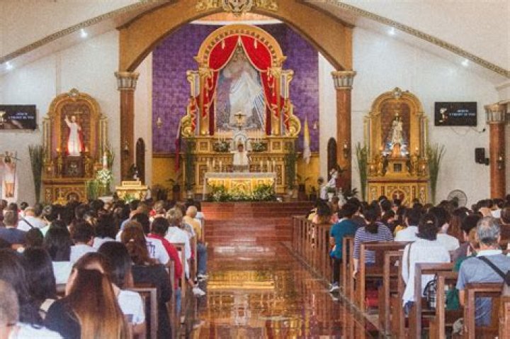 What is the role of the lay faithful in the Church