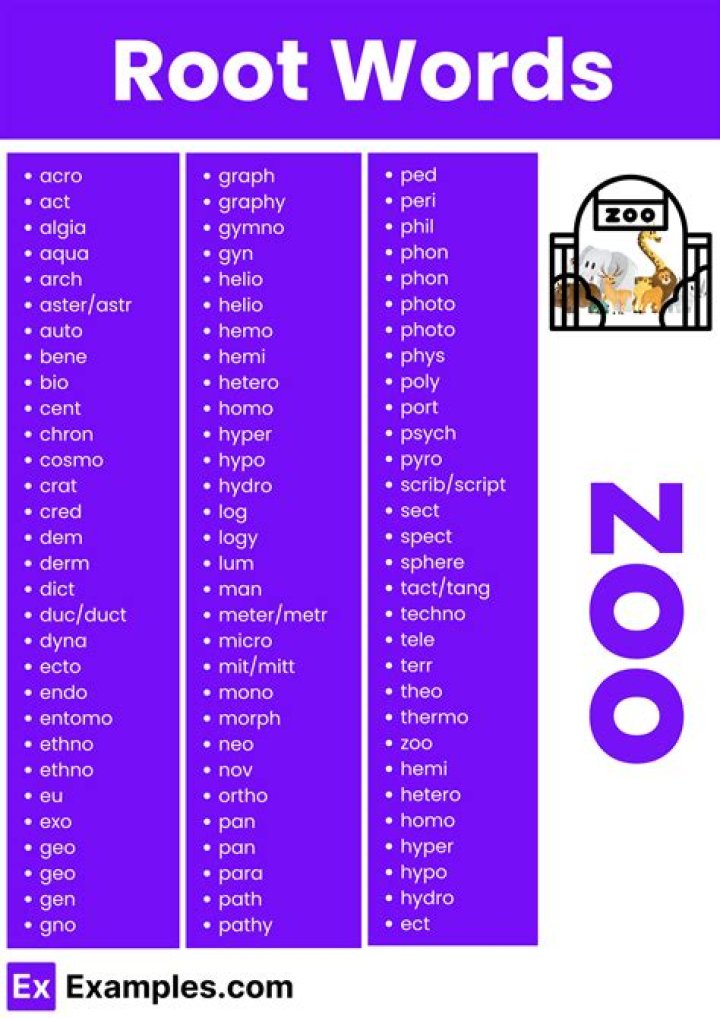 What is the root word in portable