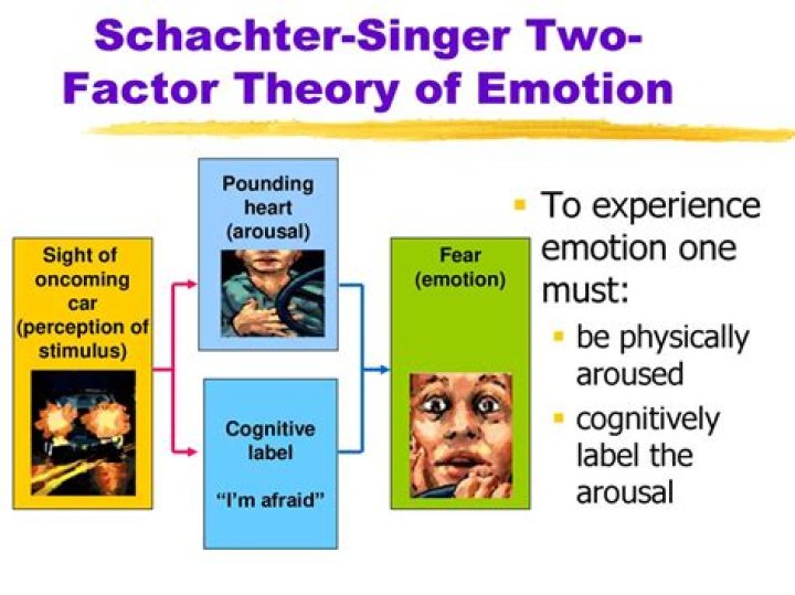 What is the Schachter two-factor theory of emotion