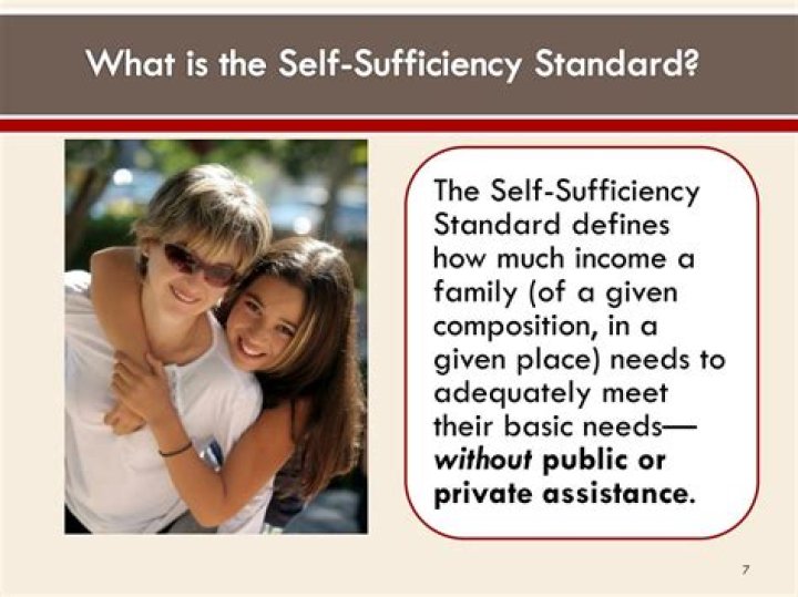 What is the self sufficiency standard