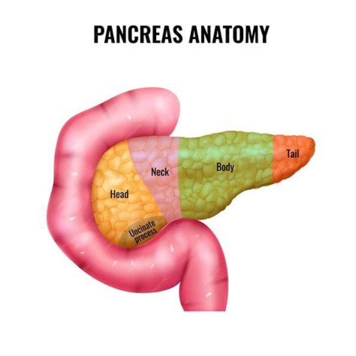 What is the shape of pancreas