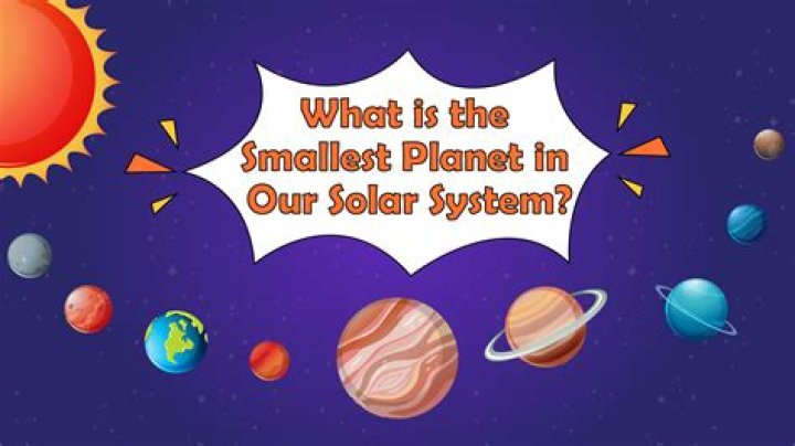 What is the smallest sunflower