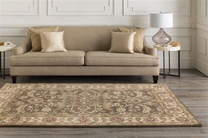 What is the softest area rug