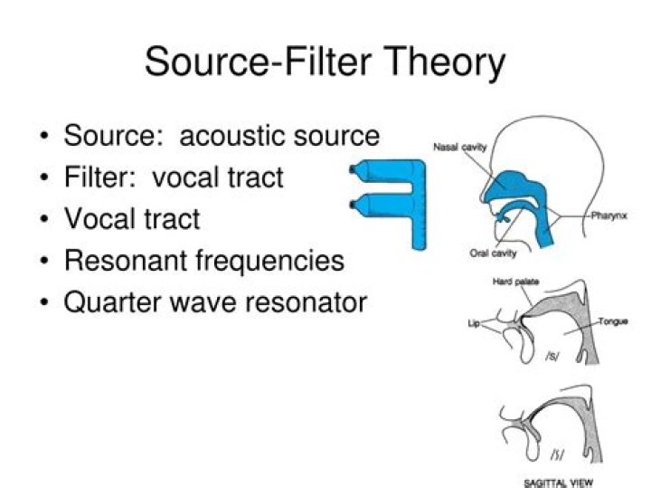 What is the source filter theory of vowel production