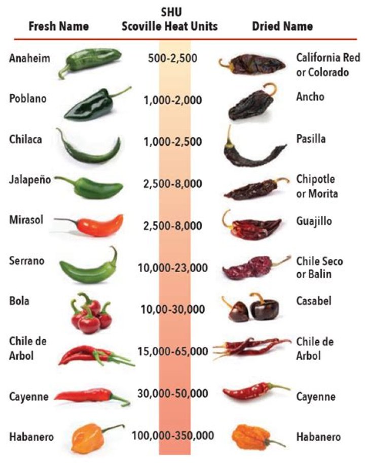 What is the spiciest part of a pepper