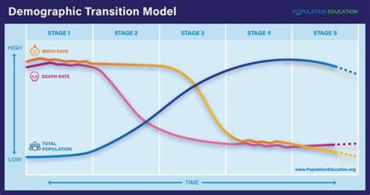 What is the stage model theory