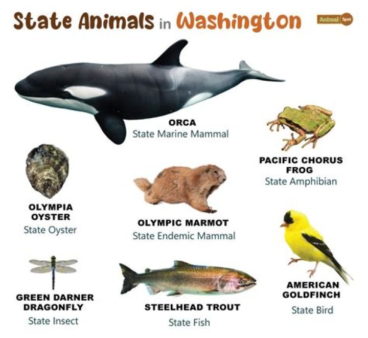 What is the state mammal of Iowa