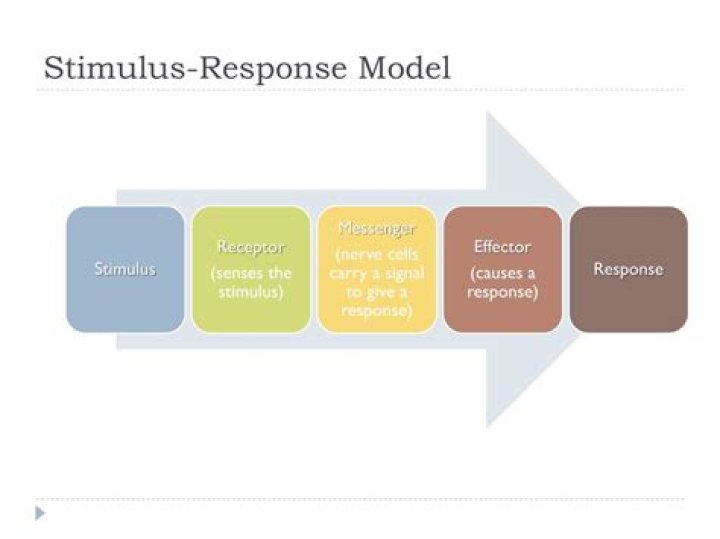 What is the stimulus response theory