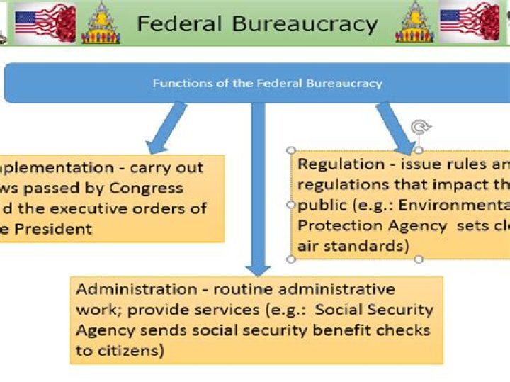 What is the structure of the federal bureaucracy