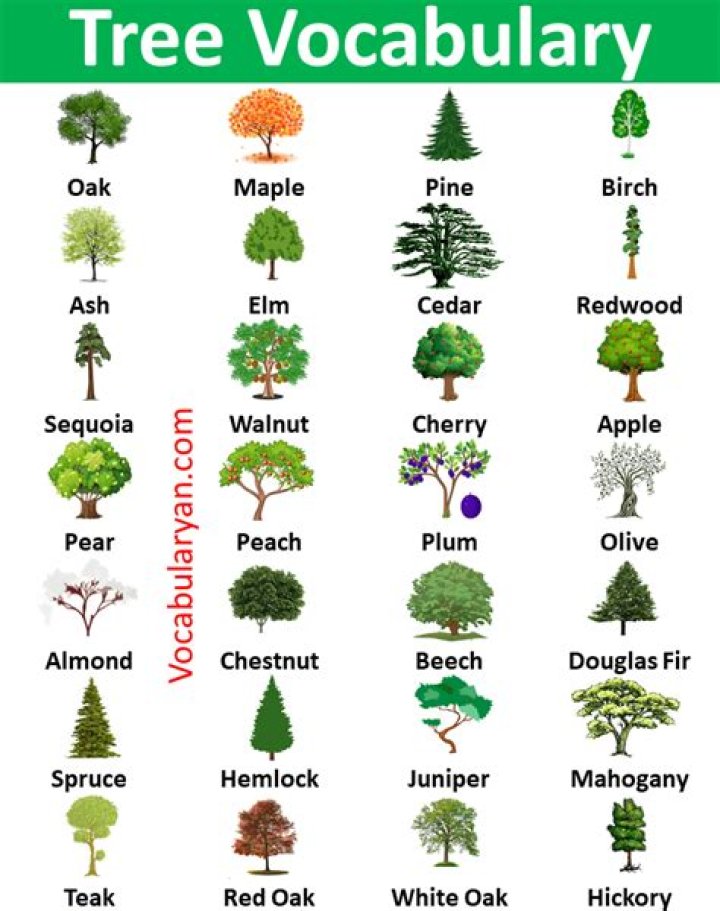 What is the symbol of tree in the poem