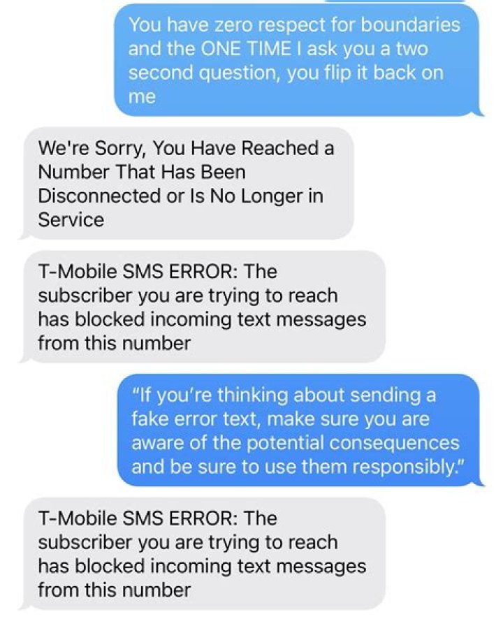 What is the term for the message that the user sends to bot