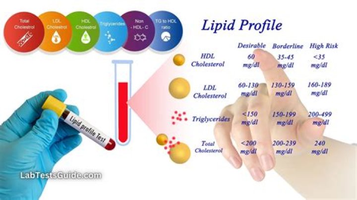 What is the test for lipids