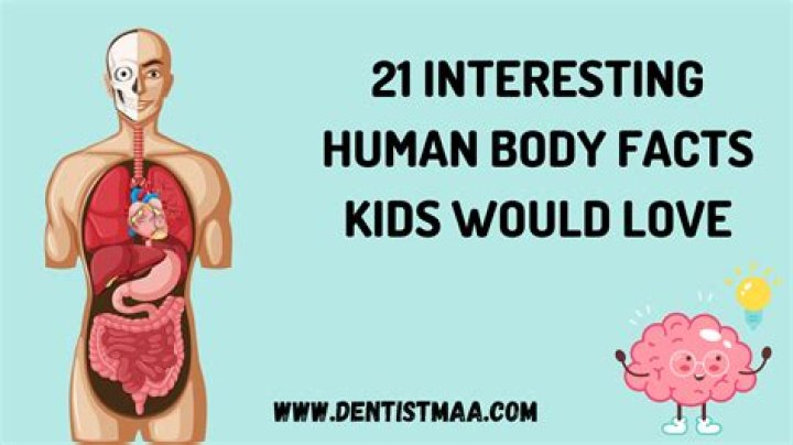 What is the weirdest thing about the human body