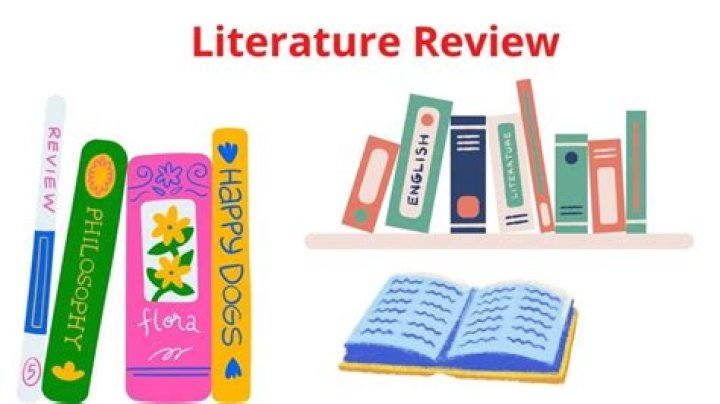 What is traditional literature review