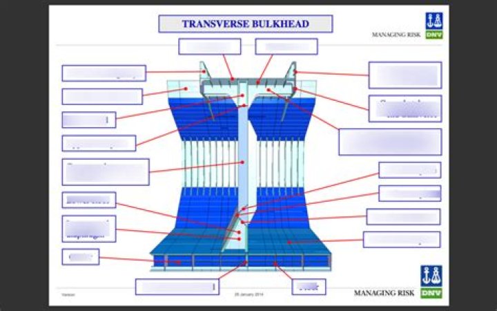 What is transverse bulkhead