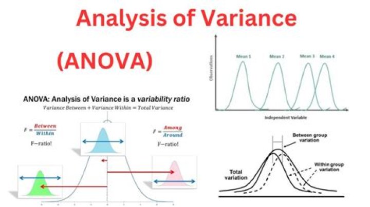What is variance and variance analysis