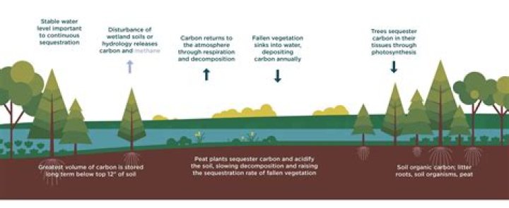 What is water sequestration