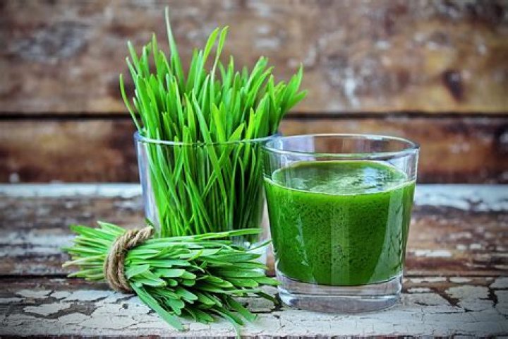 What is wheatgrass powder good for