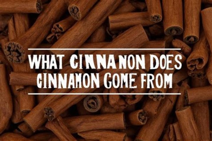 What is white cinnamon