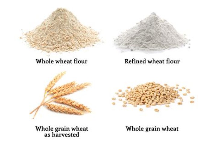 What is whole wheat flour made from