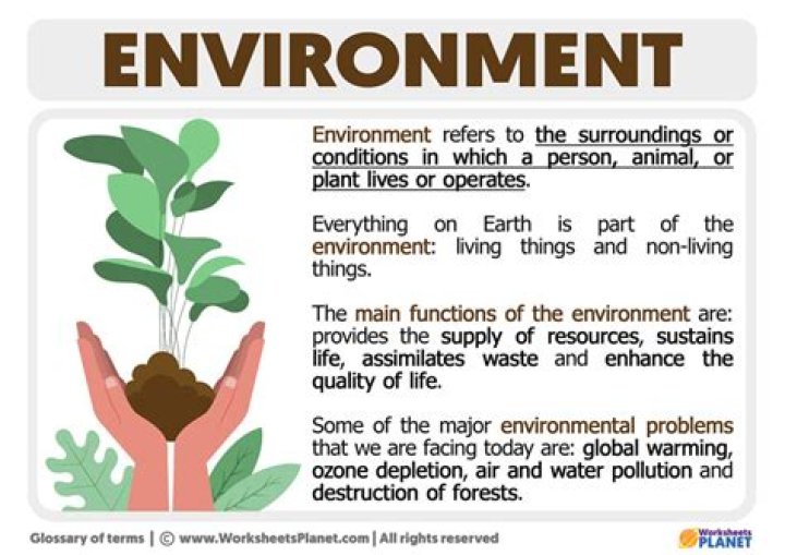 What is Winnicotts holding environment