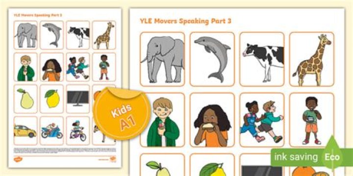What is YLE Movers