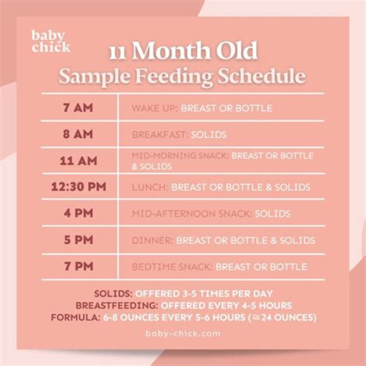 What is your 11 month old schedule