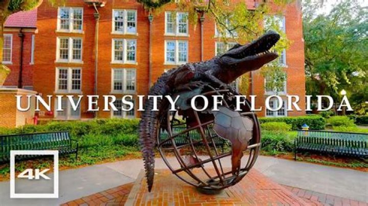 What is your UF ID