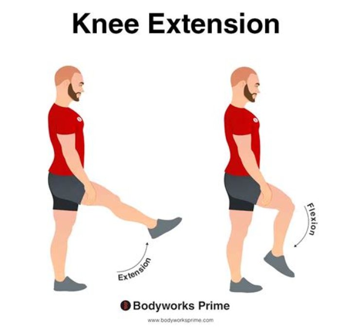 What joints can perform extension