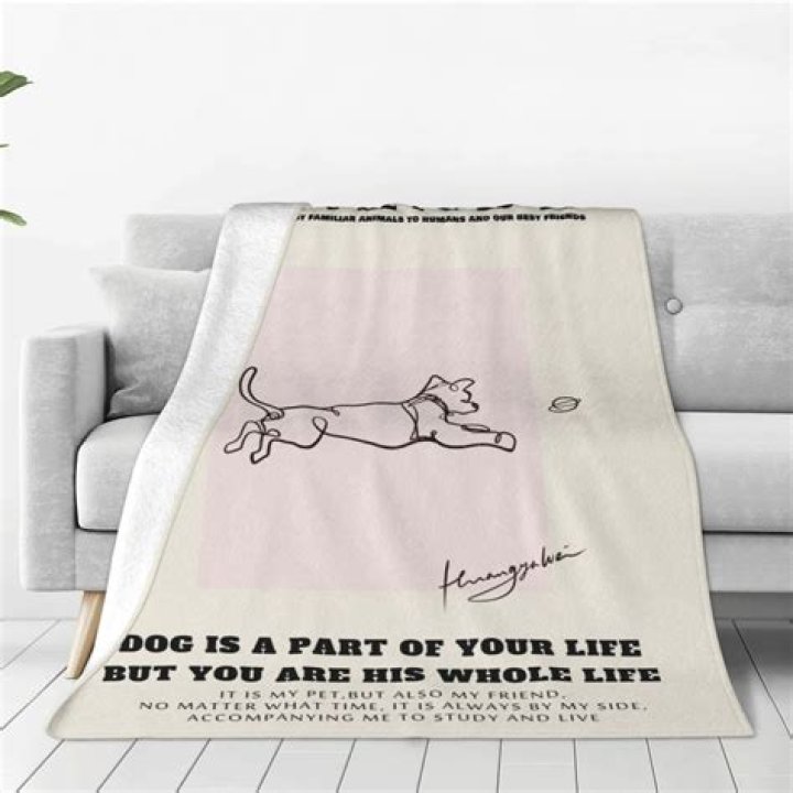 What kind of blankets do dogs like