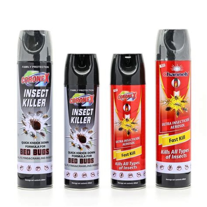 What kind of bug spray do exterminators use