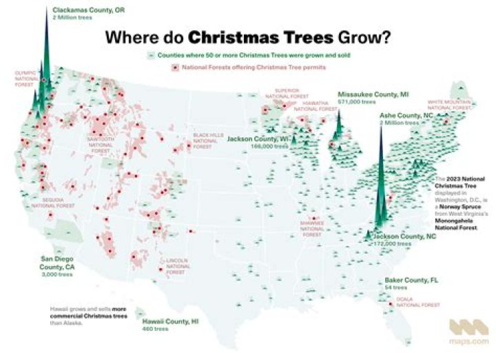 What kind of Christmas trees grow in Texas