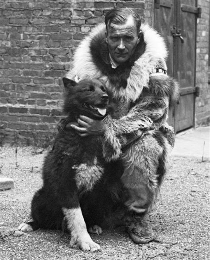 What kind of dog was Balto