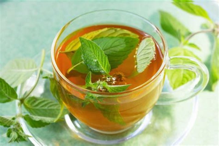 What kind of mint is good for growing tea