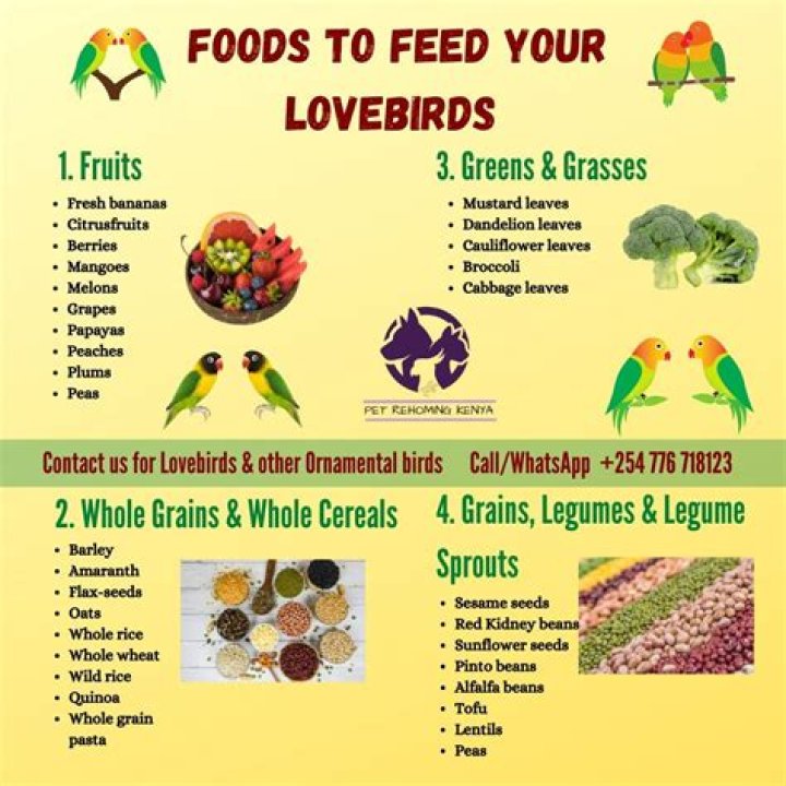 What kind of seeds do lovebirds eat