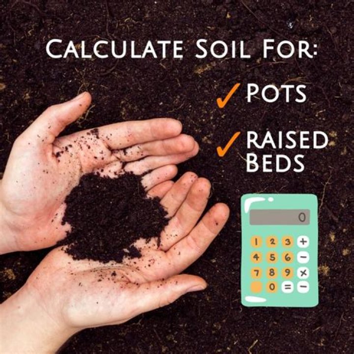 What kind of soil do Beets grow best in
