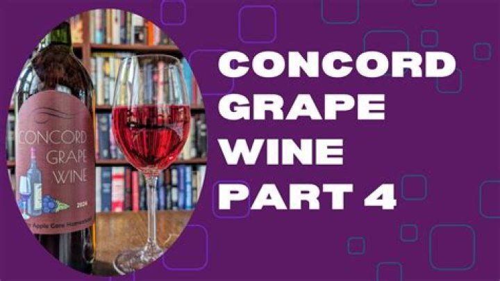 What kind of wine is made from Concord grapes