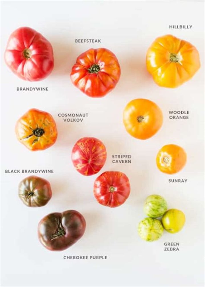 What makes an heirloom tomato different