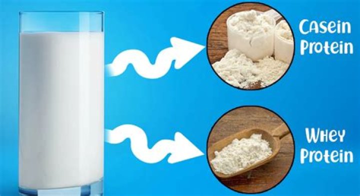 What milk does not have casein