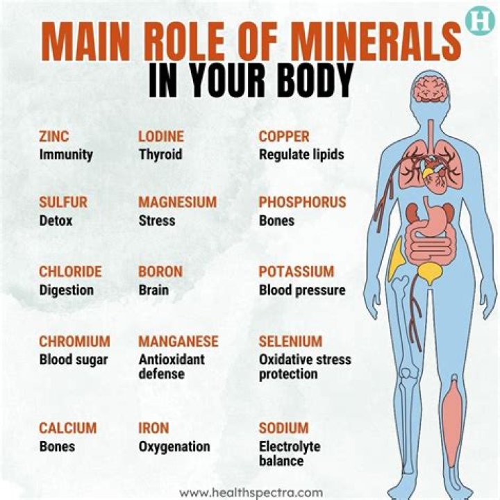 What minerals are good for the body