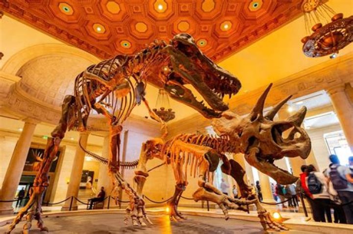 What museums are in California