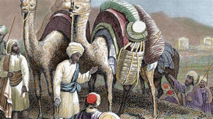 What name was given to common people of Rome like merchants and farmers who had little wealth or power