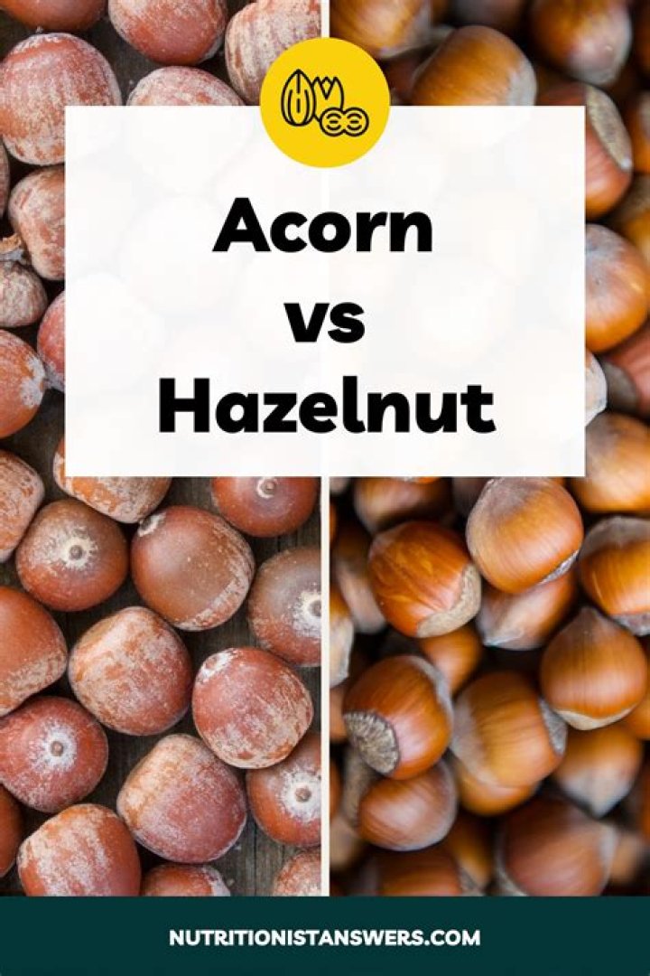 What nuts are similar to hazelnuts