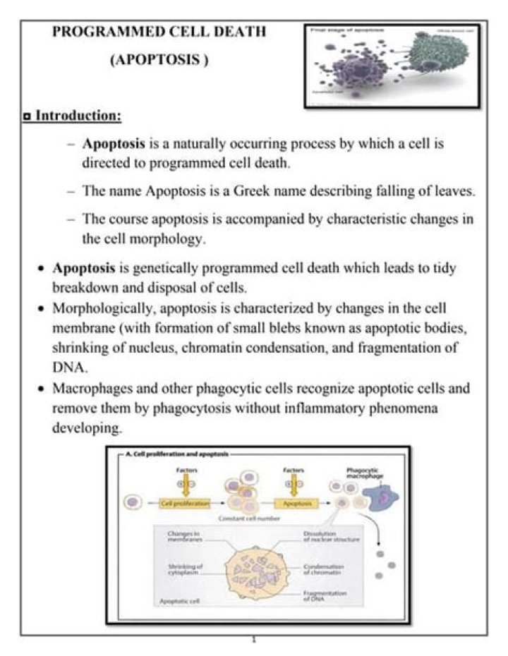 What organelle causes programmed cell death