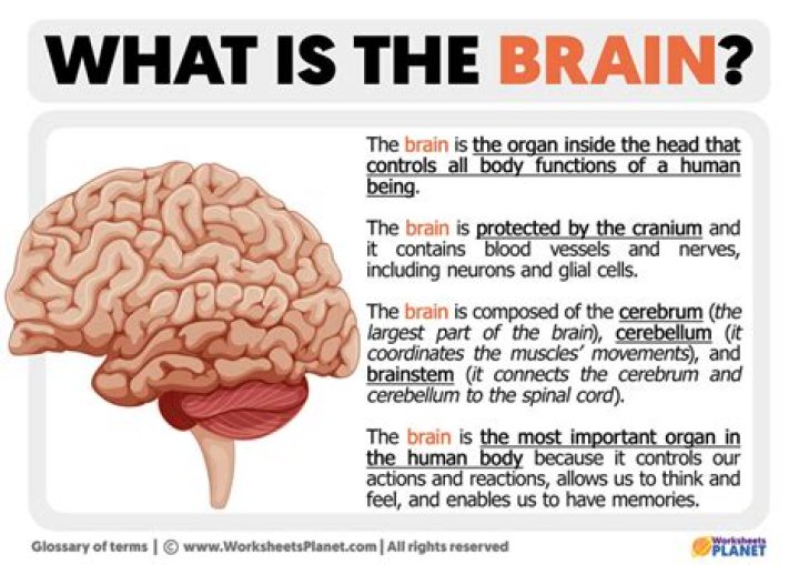 What part of the brain does Headquarters represent in inside out