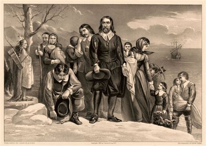 What percent of colonists were indentured servants