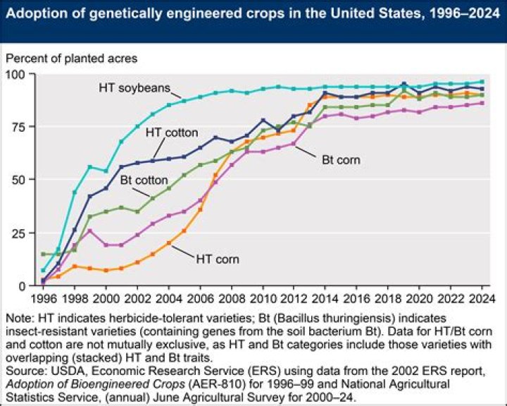 What percentage of soybeans are genetically modified